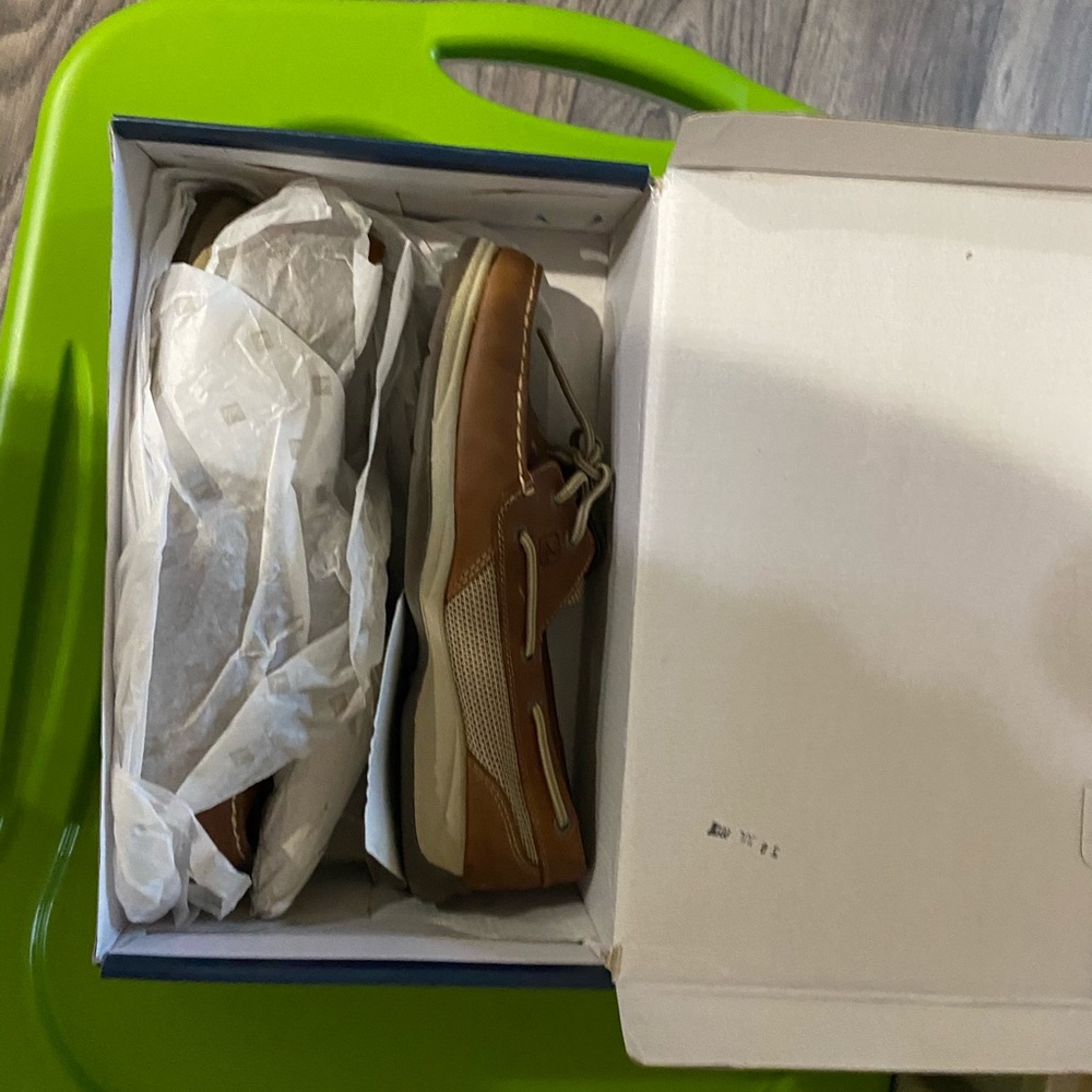 Sperry Intrepud shoes